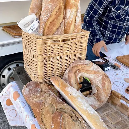 The Cliffs A Ribeira - Pampillosa Lejlighed